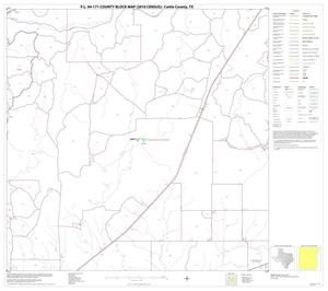 Primary view of object titled 'P.L. 94-171 County Block Map (2010 Census): Cottle County, Block 7'.