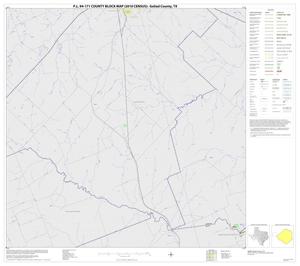 Primary view of object titled 'P.L. 94-171 County Block Map (2010 Census): Goliad County, Block 4'.