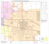 Map: P.L. 94-171 County Block Map (2010 Census): Hidalgo County, Block 101