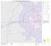 Primary view of P.L. 94-171 County Block Map (2010 Census): Lamar County, Inset A01