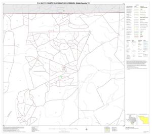 Primary view of object titled 'P.L. 94-171 County Block Map (2010 Census): Webb County, Block 4'.