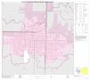 Primary view of P.L. 94-171 County Block Map (2010 Census): Randall County, Inset E01