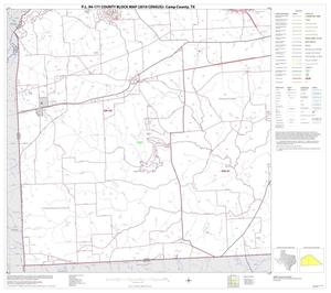 Primary view of object titled 'P.L. 94-171 County Block Map (2010 Census): Camp County, Block 3'.