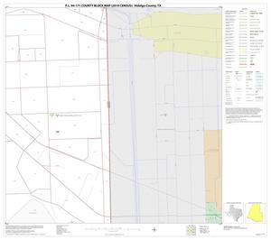 Primary view of object titled 'P.L. 94-171 County Block Map (2010 Census): Hidalgo County, Block 81'.