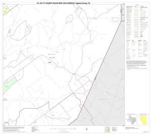 Primary view of object titled 'P.L. 94-171 County Block Map (2010 Census): Zapata County, Block 17'.