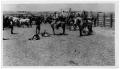 Photograph: Cowboys in the Corral at Pennington Ranch