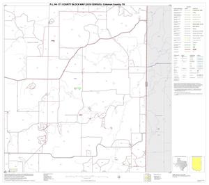 Primary view of object titled 'P.L. 94-171 County Block Map (2010 Census): Coleman County, Block 12'.