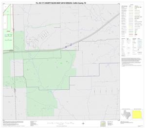 Primary view of object titled 'P.L. 94-171 County Block Map (2010 Census): Collin County, Block 103'.