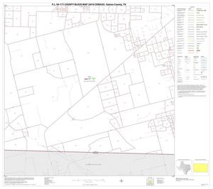 Primary view of object titled 'P.L. 94-171 County Block Map (2010 Census): Gaines County, Block 12'.