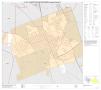 Primary view of P.L. 94-171 County Block Map (2010 Census): Lampasas County, Inset D01