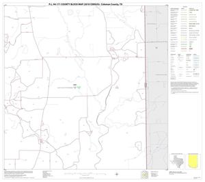 Primary view of object titled 'P.L. 94-171 County Block Map (2010 Census): Coleman County, Block 20'.
