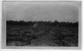 Photograph: [I.L.Crawford and J.T.Campbell in melon field]