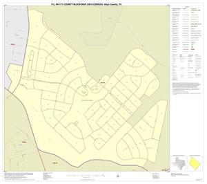 Primary view of object titled 'P.L. 94-171 County Block Map (2010 Census): Hays County, Inset D01'.
