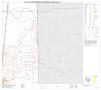 Thumbnail image of item number 1 in: 'P.L. 94-171 County Block Map (2010 Census): Jim Wells County, Block 17'.