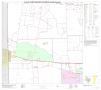 Primary view of P.L. 94-171 County Block Map (2010 Census): Jim Wells County, Block 8