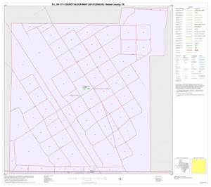 Primary view of object titled 'P.L. 94-171 County Block Map (2010 Census): Nolan County, Inset E01'.