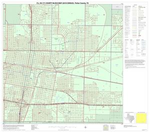 Primary view of object titled 'P.L. 94-171 County Block Map (2010 Census): Potter County, Inset A03'.