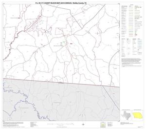 Primary view of object titled 'P.L. 94-171 County Block Map (2010 Census): Shelby County, Block 12'.