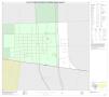 Map: P.L. 94-171 County Block Map (2010 Census): Willacy County, Inset H01