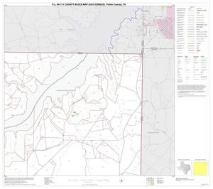 Primary view of object titled 'P.L. 94-171 County Block Map (2010 Census): Potter County, Block 4'.