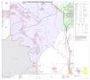 Thumbnail image of item number 1 in: 'P.L. 94-171 County Block Map (2010 Census): Polk County, Block 19'.