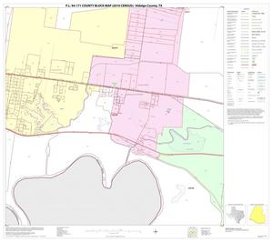 Primary view of object titled 'P.L. 94-171 County Block Map (2010 Census): Hidalgo County, Block 84'.