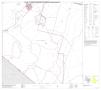 Thumbnail image of item number 1 in: 'P.L. 94-171 County Block Map (2010 Census): Reeves County, Block 43'.