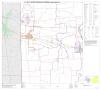 Primary view of P.L. 94-171 County Block Map (2010 Census): Fannin County, Block 8