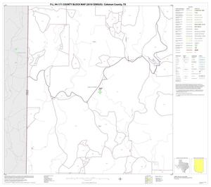 Primary view of object titled 'P.L. 94-171 County Block Map (2010 Census): Coleman County, Block 13'.