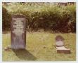Primary view of [Grave Markers of Elizabeth Middlebrook and William W. Willis]