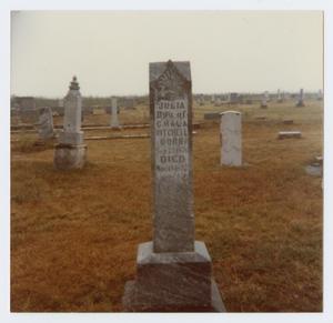 Primary view of object titled '[Grave Marker of Julia Mitchell]'.