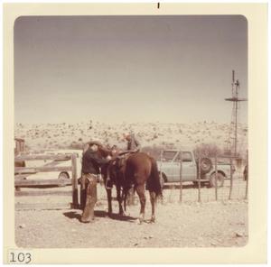 Primary view of object titled '[Cowboy with horse]'.