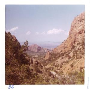 Primary view of object titled '[Mountains and shrubbery at Big Bend National Park]'.