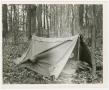Photograph: [Two Man Shelter in Woods]