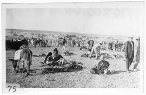 Primary view of object titled '[Mexican refugees fleeing from Pancho Villa]'.