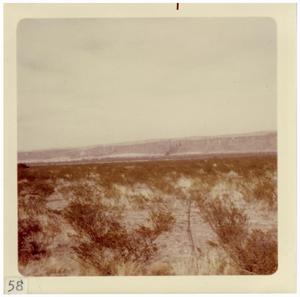 Primary view of object titled '[Grassy Landscape at Big Bend]'.