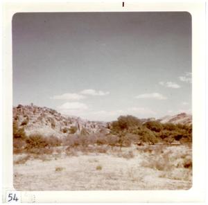 Primary view of object titled '[Big Bend landscape with mountains and trees]'.