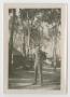 Photograph: [Soldier Standing Among Trees]