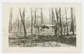 Photograph: [Soldier Standing in Forest]