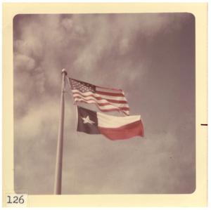 Primary view of object titled '[American and Texas flags]'.