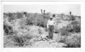 Thumbnail image of item number 1 in: '[Mr. W.H. Cleveland near Ruidosa Hot Springs]'.