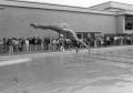 Photograph: [Diving Competition]