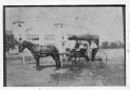 Photograph: [Walsh Family with horse & buggy]
