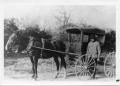 Photograph: [Mr. Prewitt with horse drawn mail buggy]