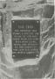 Photograph: [Photograph of "The Tree" Plaque]
