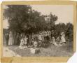 Photograph: [Photograph of Simmons College Picnic]