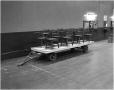Photograph: [Mounted Chairs]