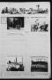 Newspaper: The Albany News (Albany, Tex.), Vol. 99, No. 3, Ed. 1 Thursday, July …