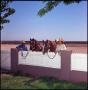 Thumbnail image of item number 1 in: '[Man and woman behind a fence with horses]'.