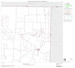 Primary view of object titled '2000 Census County Subdivison Block Map: Coleman CCD, Texas, Block 2'.